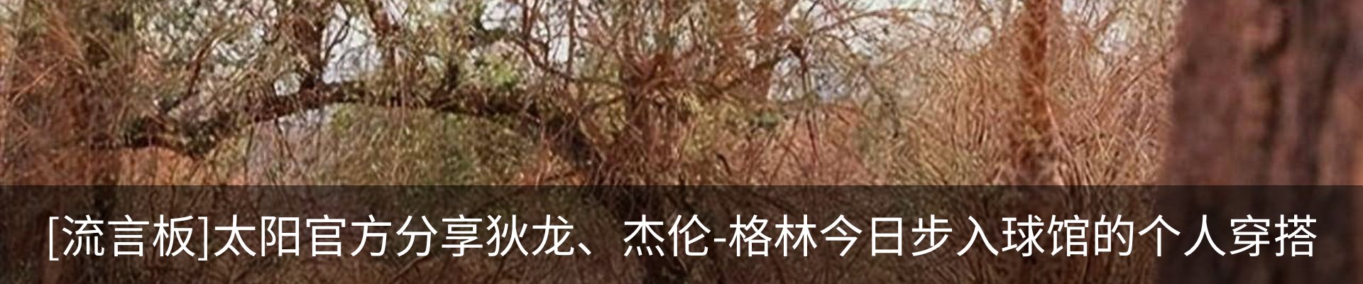 行业资讯